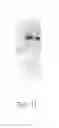 Fig. 12 - Synthetic conjugate of CpG DNA and T-help/CTL peptide