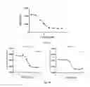 Fig. 04 - Antibodies against LIF and uses thereof