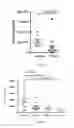 Fig. 08 - Antibodies against LIF and uses thereof
