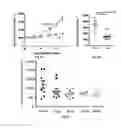 Fig. 09 - Antibodies against LIF and uses thereof