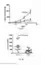 Fig. 10 - Antibodies against LIF and uses thereof