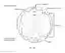 Fig. 23 - Antibodies against LIF and uses thereof