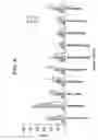 Fig. 07 - LIQUID ANTIBODY FORMULATION WITH IMPROVED AGGREGATION PROPERTIES