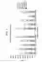 Fig. 08 - LIQUID ANTIBODY FORMULATION WITH IMPROVED AGGREGATION PROPERTIES