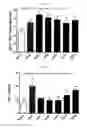 Fig. 04 - IMMUNOSTIMULATING AGENT