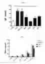 Fig. 06 - IMMUNOSTIMULATING AGENT