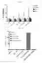 Fig. 07 - IMMUNOSTIMULATING AGENT