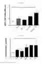 Fig. 08 - IMMUNOSTIMULATING AGENT