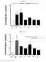 Fig. 11 - IMMUNOSTIMULATING AGENT