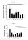 Fig. 13 - IMMUNOSTIMULATING AGENT