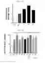 Fig. 14 - IMMUNOSTIMULATING AGENT