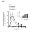 Fig. 08 - Lymph directing prodrugs