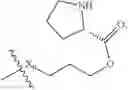 Fig. 145 - TUBULYSIN COMPOUNDS AND CONJUGATES THEREOF