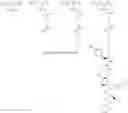 Fig. 217 - TUBULYSIN COMPOUNDS AND CONJUGATES THEREOF