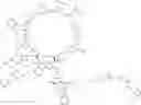 Fig. 257 - TUBULYSIN COMPOUNDS AND CONJUGATES THEREOF