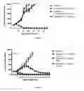 Fig. 03 - Protein-polymer-drug conjugates
