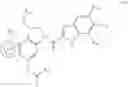 Fig. 103 - Protein-polymer-drug conjugates
