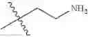 Fig. 134 - Protein-polymer-drug conjugates