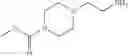 Fig. 180 - Protein-polymer-drug conjugates