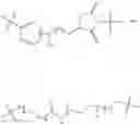 Fig. 20 - Protein-polymer-drug conjugates