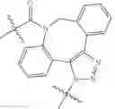Fig. 202 - Protein-polymer-drug conjugates