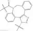 Fig. 203 - Protein-polymer-drug conjugates