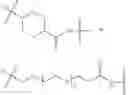 Fig. 209 - Protein-polymer-drug conjugates