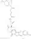Fig. 237 - Protein-polymer-drug conjugates