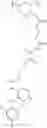 Fig. 304 - Protein-polymer-drug conjugates