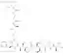 Fig. 358 - Protein-polymer-drug conjugates