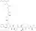 Fig. 361 - Protein-polymer-drug conjugates