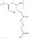 Fig. 391 - Protein-polymer-drug conjugates