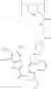 Fig. 406 - Protein-polymer-drug conjugates