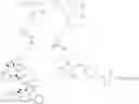 Fig. 434 - Protein-polymer-drug conjugates