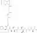 Fig. 473 - Protein-polymer-drug conjugates