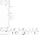 Fig. 485 - Protein-polymer-drug conjugates