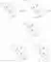 Fig. 498 - Protein-polymer-drug conjugates