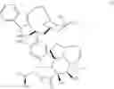 Fig. 532 - Protein-polymer-drug conjugates