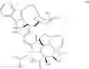 Fig. 533 - Protein-polymer-drug conjugates