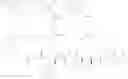 Fig. 557 - Protein-polymer-drug conjugates