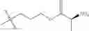 Fig. 589 - Protein-polymer-drug conjugates