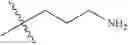 Fig. 591 - Protein-polymer-drug conjugates