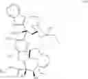 Fig. 77 - Protein-polymer-drug conjugates