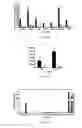 Fig. 10 - PSMA binding ligand-linker conjugates and methods for using