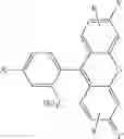 Fig. 31 - PSMA binding ligand-linker conjugates and methods for using