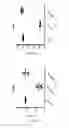 Fig. 05 - Antibodies having specificity to nectin-4 and uses thereof