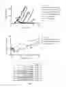 Fig. 09 - Antibodies having specificity to nectin-4 and uses thereof
