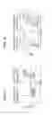 Fig. 04 - THERAPEUTIC CELL INTERNALIZING CONJUGATES