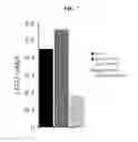 Fig. 09 - THERAPEUTIC CELL INTERNALIZING CONJUGATES