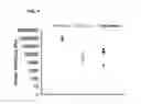 Fig. 02 - Methods and compositions for drug delivery